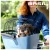 basil-buddy-kf-dog-bicycle-basket-front-faded-deni (2).webp