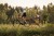 M_Peruzzo_Trail_Angel_039.jpg